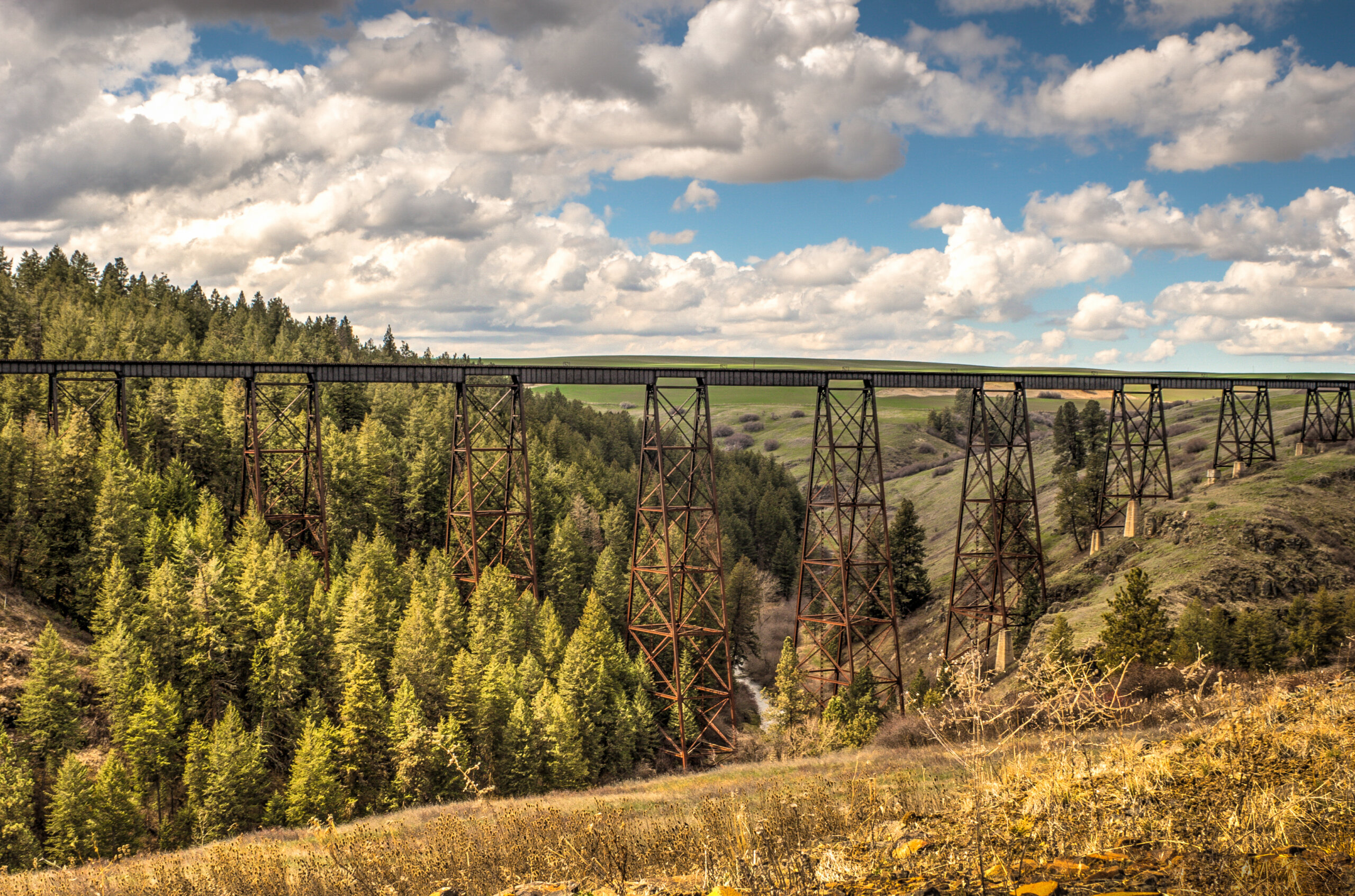 Train Trestles near Winchester Idaho