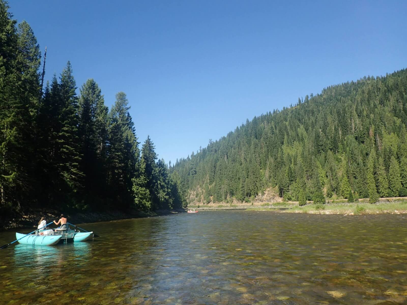 A man and woman paddle through a calm river, surrounded by pine trees, on a small turquoise catamaran