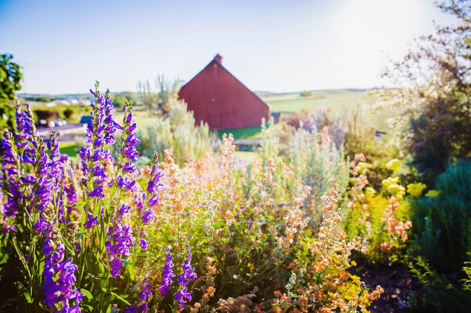 Scenic near Moscow Idaho